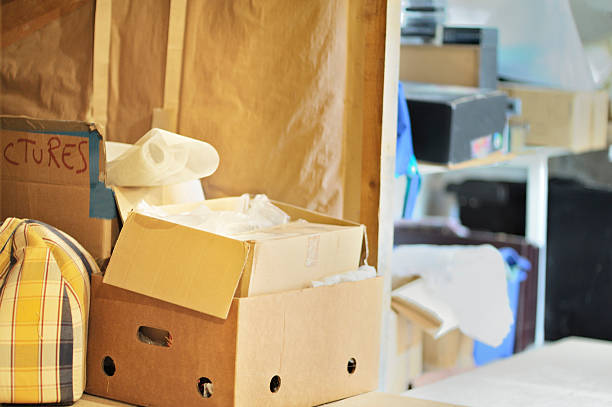 Attic Cleanout Services in Lyford, TX